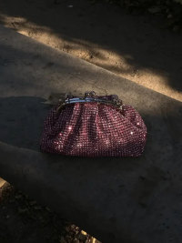 « Shimmering Nights: A Spotlight on the Dazzling 003 Vintage-Inspired Sparkling Crystal Evening Clutch »